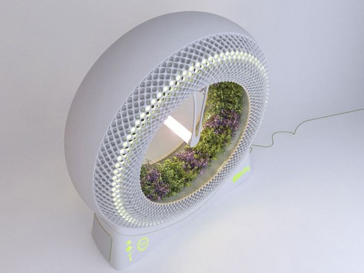 greenwheel2