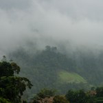 _DSC1691-1