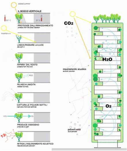 BoscoVerticale07