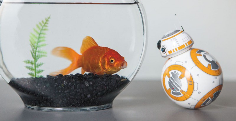 sphero-BB-8-star-wars-droid_08