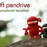 ninja-pendrive