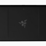 razer-fiona2