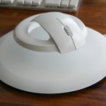 bat_mouse2