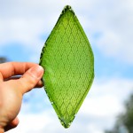 Silk-Leaf-by-Julian-Melchiorri