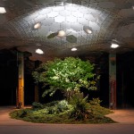 The Lowline in New York City