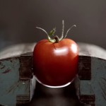 wearable-tomato-project-3