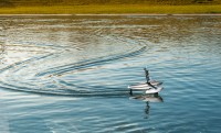 Parrot Hydrofoil teszt: drón + szárnyashajó hibrid